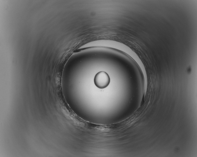 X0000110930284200906251341