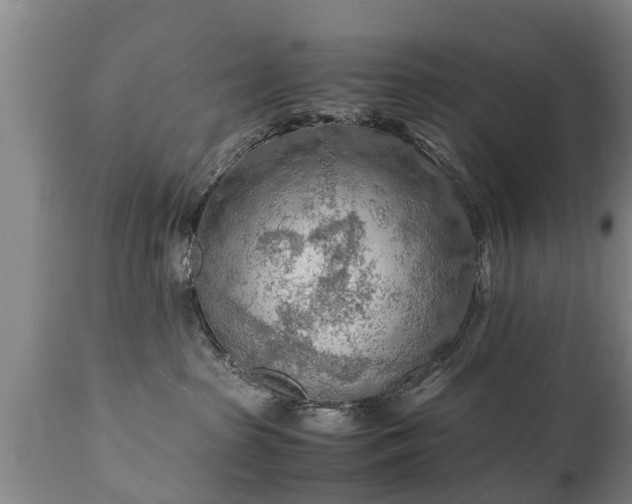 X0000110930285200906251341
