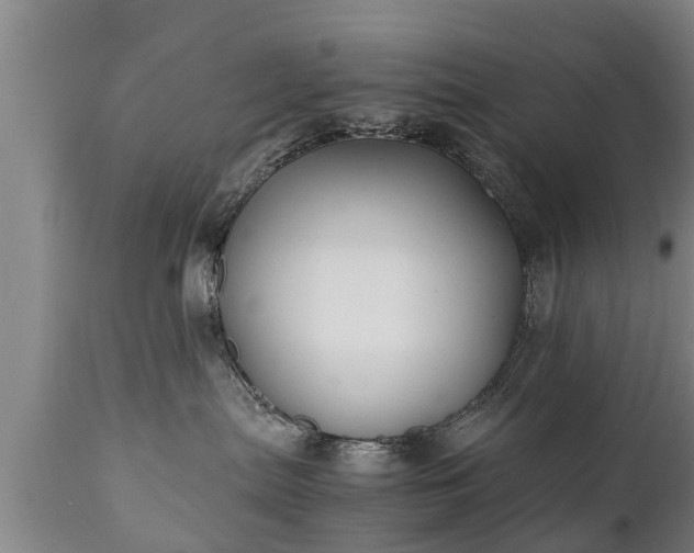 X0000110930287200906251341