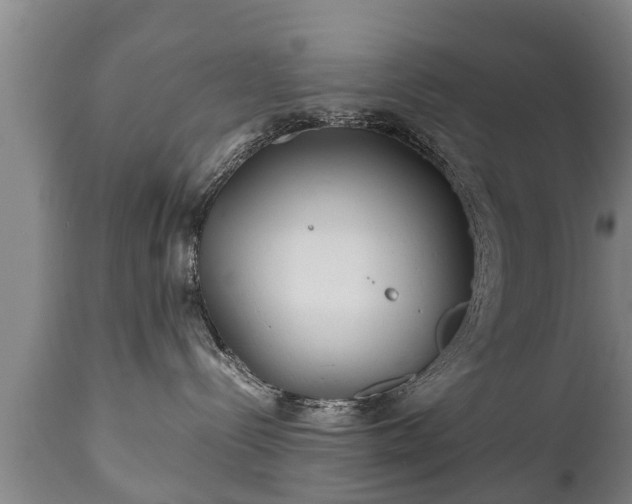 X0000110930288200906251341