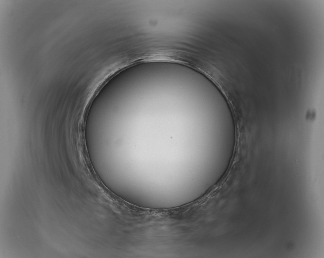 X0000110930289200906251340