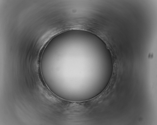 X0000110930290200906251340