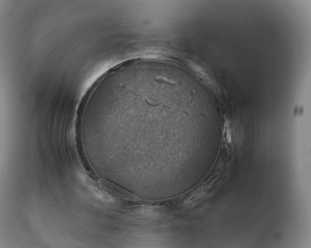 X0000110930292200906251340