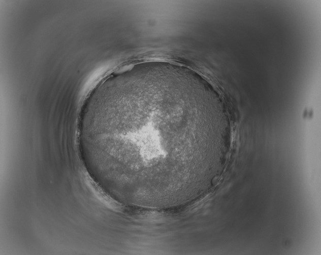 X0000110930293200906251340
