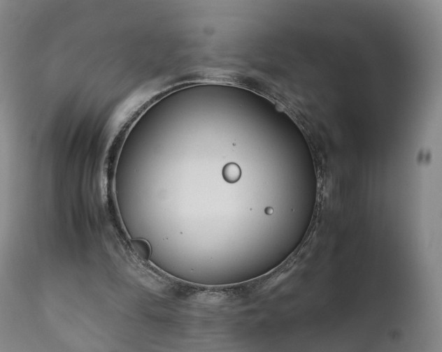 X0000110930294200906251340