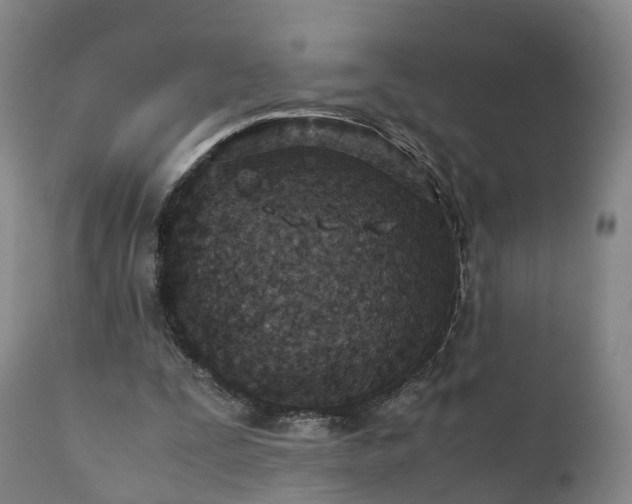 X0000110930295200906251340