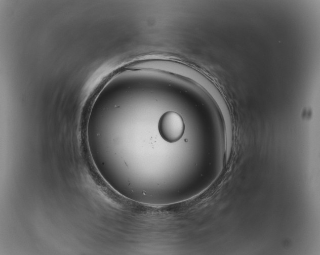 X0000110930296200906251340