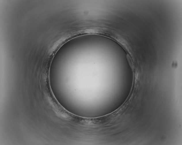 X0000110930297200906251340