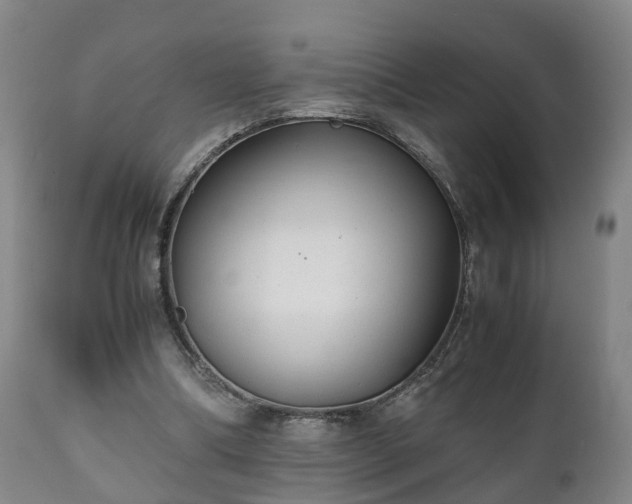 X0000110930298200906251340