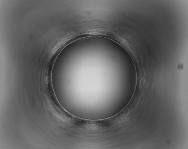X0000110930299200906251340