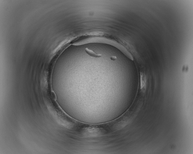 X0000110930300200906251340