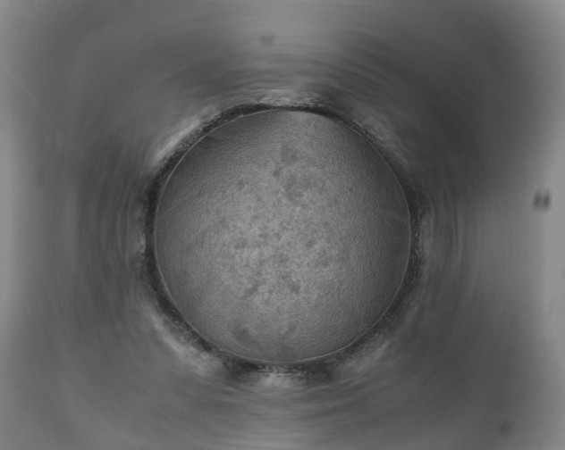 X0000110930303200906251340