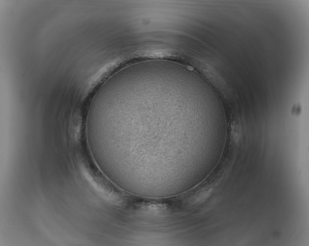 X0000110930304200906251340
