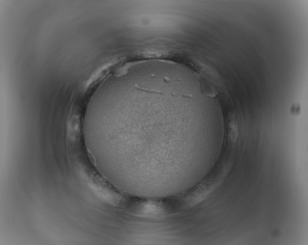 X0000110930308200906251340