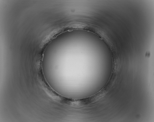 X0000110930309200906251340