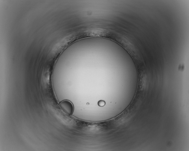 X0000110930310200906251340