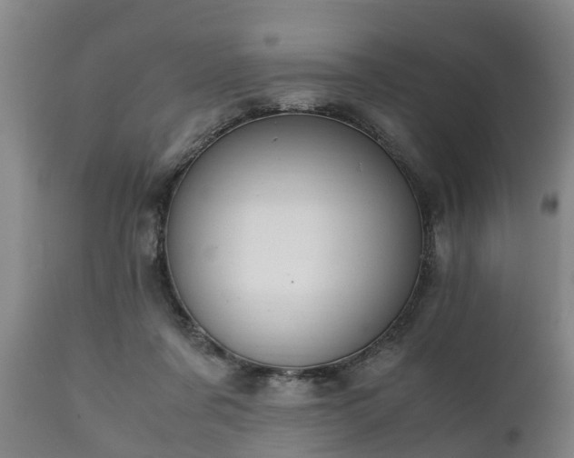 X0000110930311200906251340