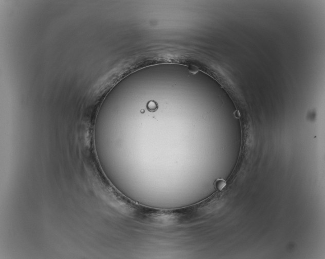 X0000110930313200906251340