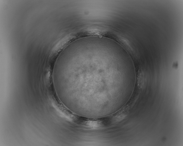 X0000110930314200906251340