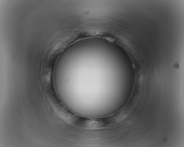 X0000110930315200906251340