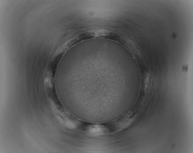 X0000110930316200906251340
