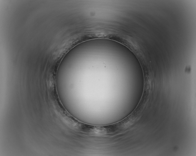 X0000110930317200906251340