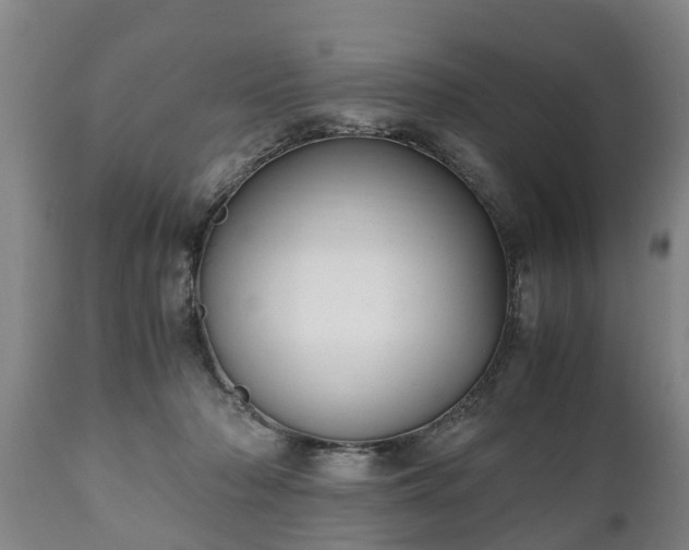 X0000110930318200906251340