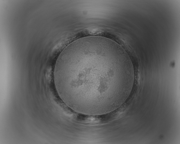 X0000110930319200906251340