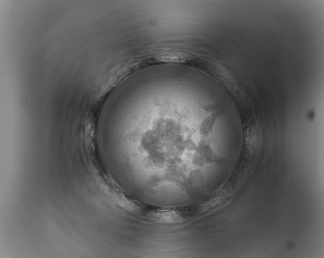 X0000110930322200906251340