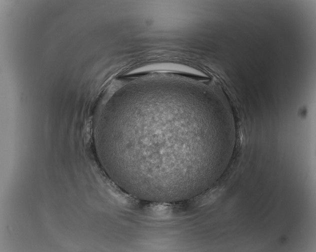 X0000110930325200906251340