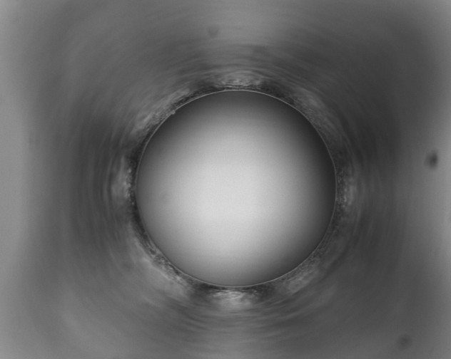 X0000110930326200906251340