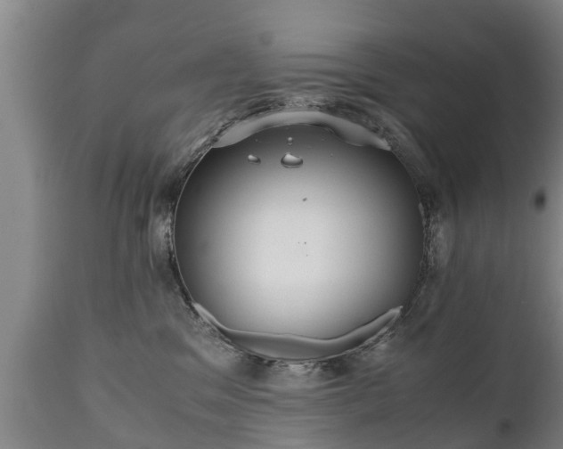 X0000110930329200906251340