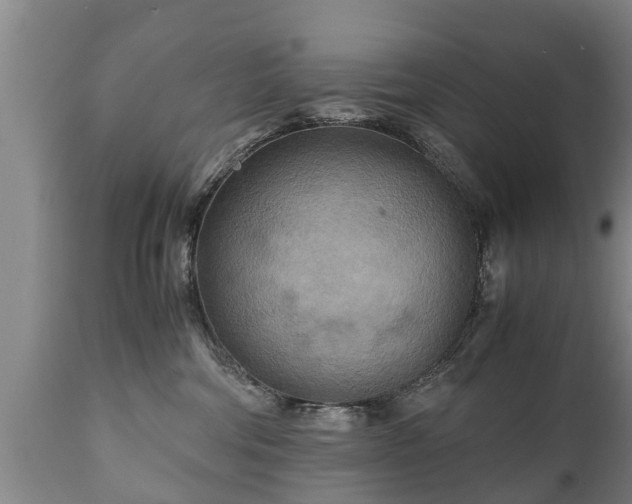 X0000110930330200906251340