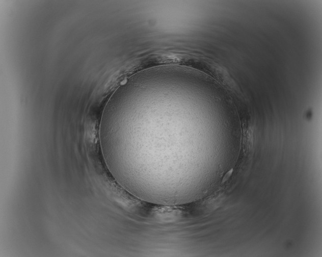 X0000110930331200906251340