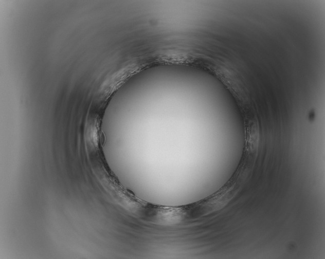 X0000110930334200906251340