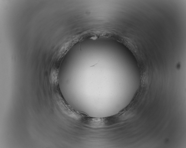 X0000110930335200906251340