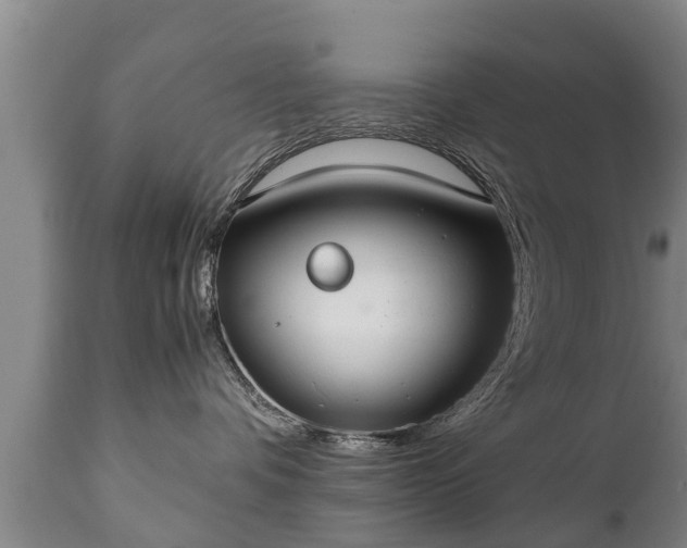 X0000110930336200906251340