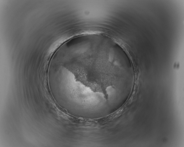X0000110930337200906251339