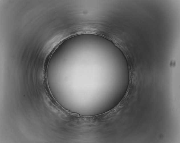 X0000110930338200906251339