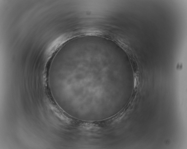 X0000110930339200906251339