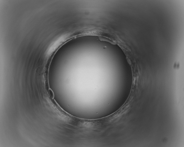 X0000110930341200906251339