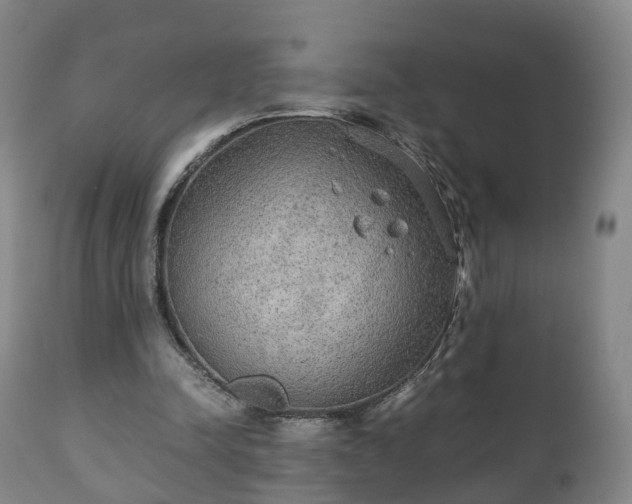 X0000110930342200906251339