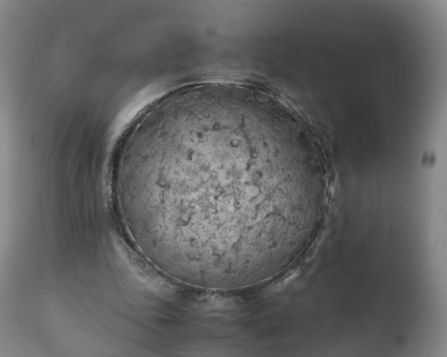 X0000110930343200906251339