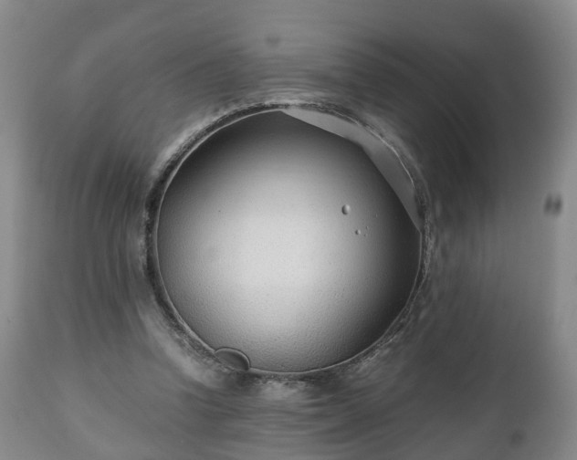 X0000110930346200906251339