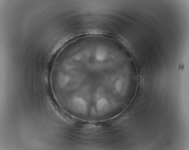 X0000110930347200906251339