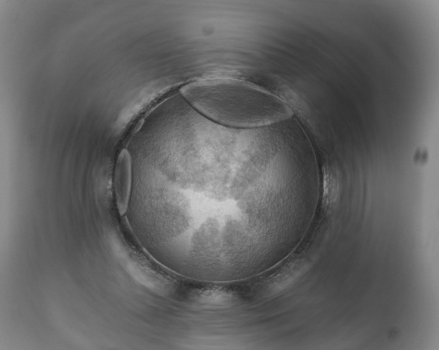 X0000110930348200906251339