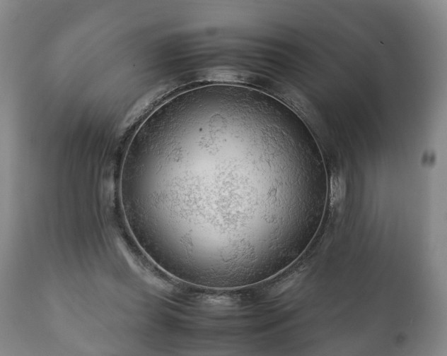 X0000110930349200906251339