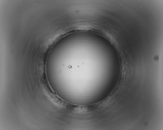 X0000110930354200906251339