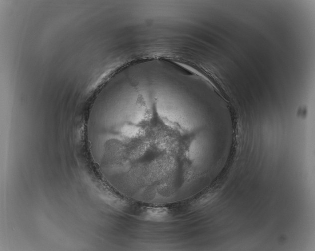 X0000110930355200906251339