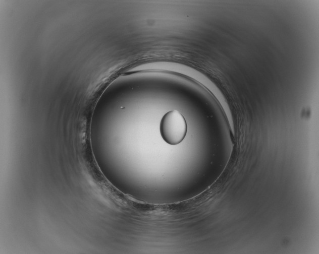 X0000110930356200906251339